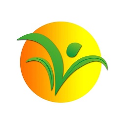 vigour seeds dev inc logo